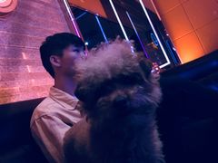 -迪卡乐KTV(象山路店)