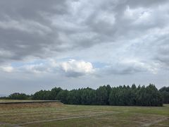 -汉景帝阳陵博物院