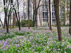 -浙江大学(紫金港校区)