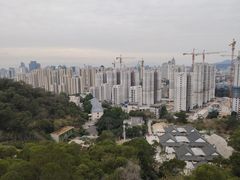 -金鸡山公园