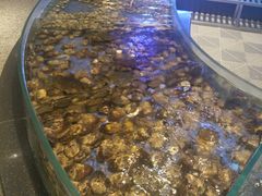 -王家渡火锅店(棕榈泉店)