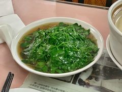 -蘭心餐厅(进贤路店)