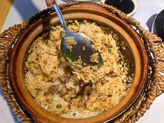 -鸽小宝(深圳首店)