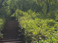 -鹦鹉寺公园