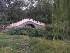 -永定河休闲森林公园