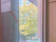 -东哥紫阳蒸盆子(旺座·现代城店)