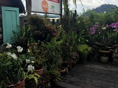 -自然餐厅(Phuket)
