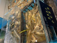 -九月海·海鲜自助(世纪东方店)