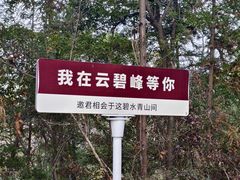 -云碧峰国家森林公园