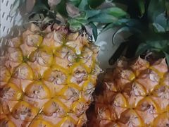 -阿荣24H宠物医院·综合型转诊中心·CT·核磁影像中心