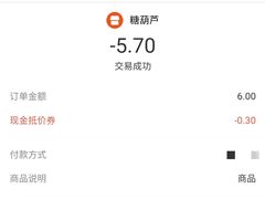 -和禄德冰糖葫芦