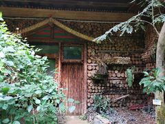 -呀路古热带植物园