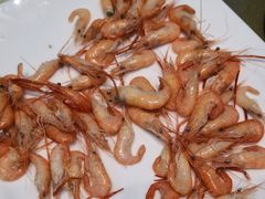 -小北江河鲜(新城店)