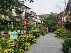 -磁器口古镇