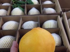 -涌泉保岛蜜桔