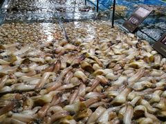 -徐记海鲜(梅溪新天地店)