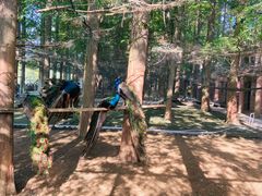 -南京金牛湖风景区