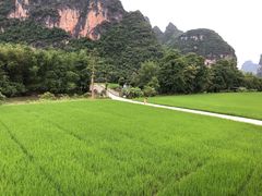 -明仕田园