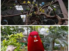 -南宫五洲植物乐园