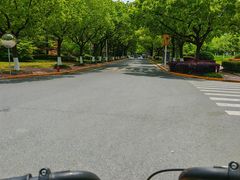 -上海交通大学(闵行校区)