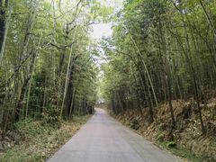 -重庆雨台山风景区