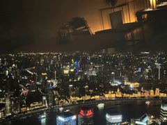 -The lounge 柏悦酒店大堂酒廊(上海环球金融中心店)