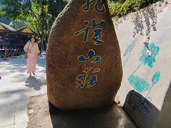 -西双版纳原始森林公园