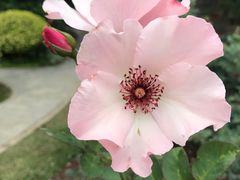 -人民公园(罗湖区)