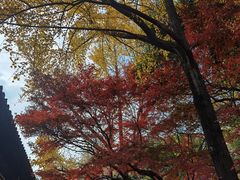 -西园戒幢律寺