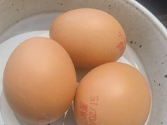 -团子君寿司·茶