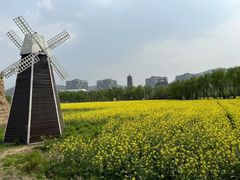-长兴太湖图影湿地文化园
