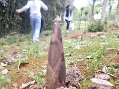 -盘龙城遗址博物院