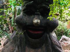 -呀路古热带植物园