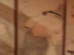 -鸿远足浴·按摩养生SPA旗舰店