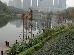 -重庆彩云湖湿地公园