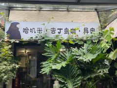 -吉丁鸟咖·异宠·寄养