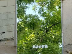 -BE YOLO必有乐&小红帽三明治