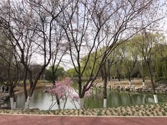 -大兴滨河森林公园