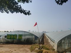 -庞各庄西瓜蔬菜采摘园·锦华瓜园