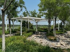 -天津东丽湖风景区