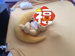 -象北鼻儿童摄影(西源集店)