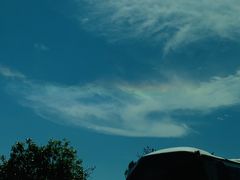 -广东惠东海龟国家级自然保护区