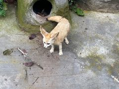 -乐和乐都主题乐园