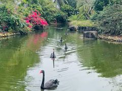 -博鳌亚洲论坛国际会议中心