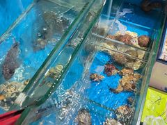 -平川日本料理