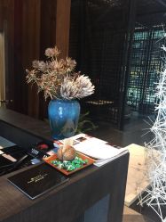 -THANN EXPRESS SPA
