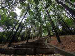 -火炉山森林公园
