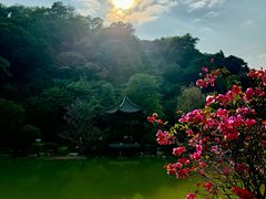 -云溪植物园