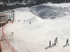 -太子岭滑雪场