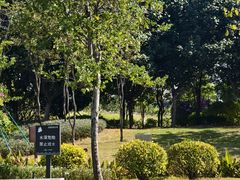 -王借岗森林公园